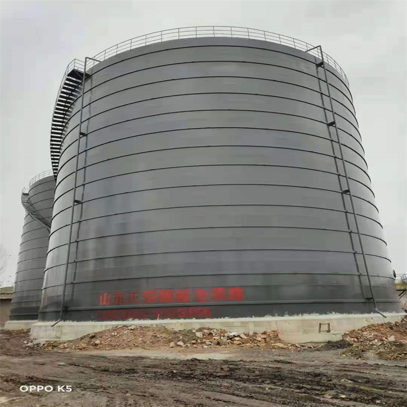 宣恩3万吨大型钢板库