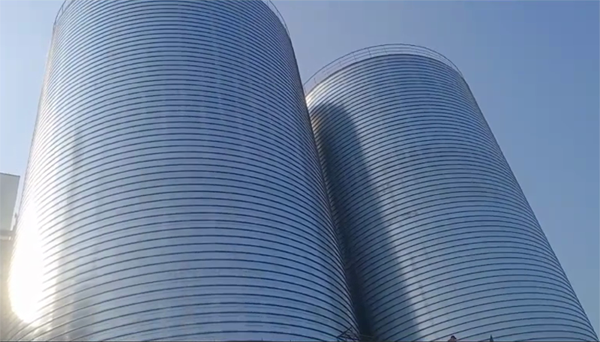 宣恩2座混凝土高架卷板仓